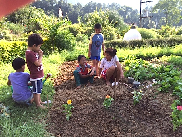 The little ones are learning how to nurture a growing thing through planting in our garden.