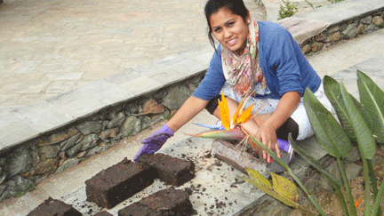 Meena's working hard making briquettes for her cookies!