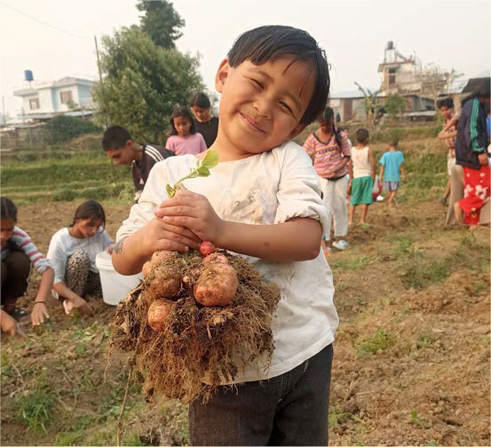 ama ghar child harvesting crops