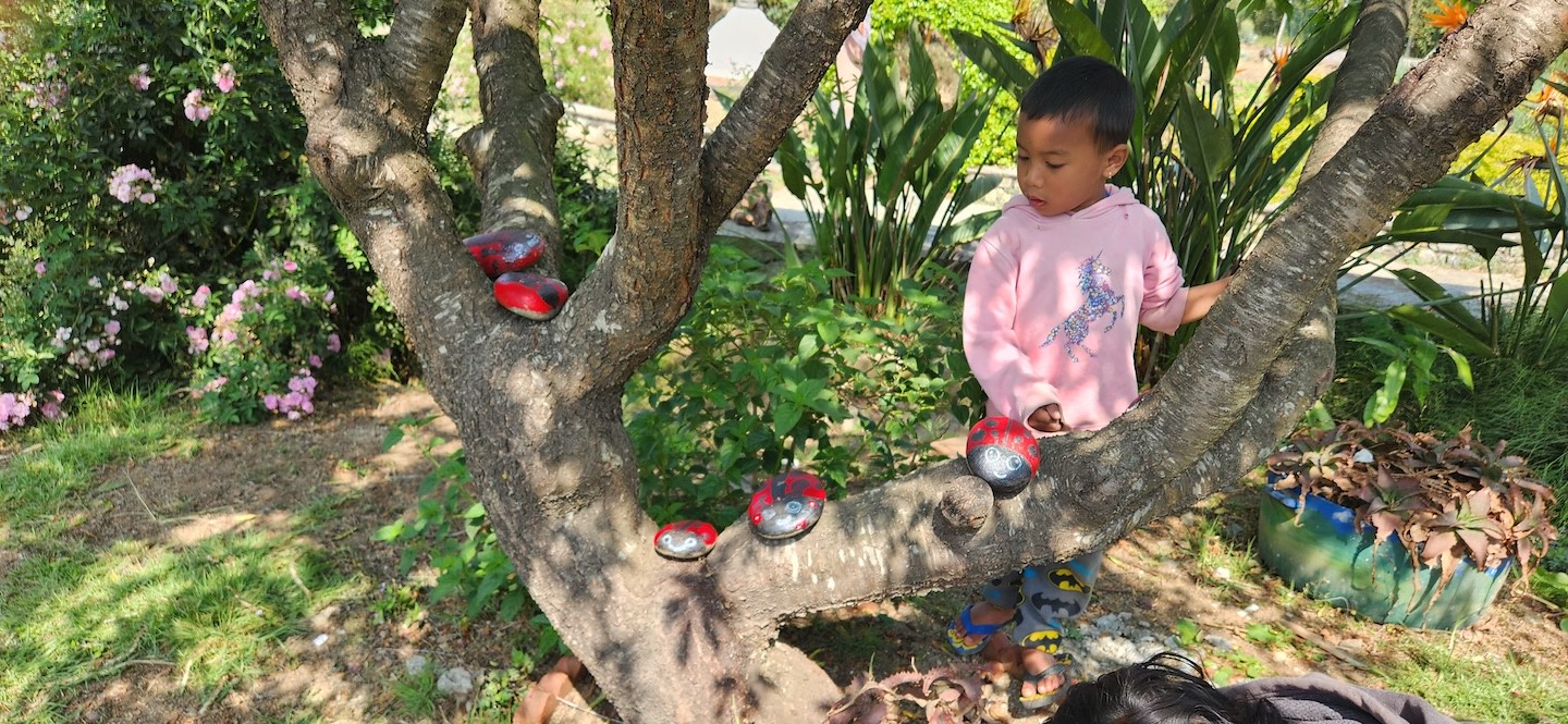 child looking at painted rocks in a tree